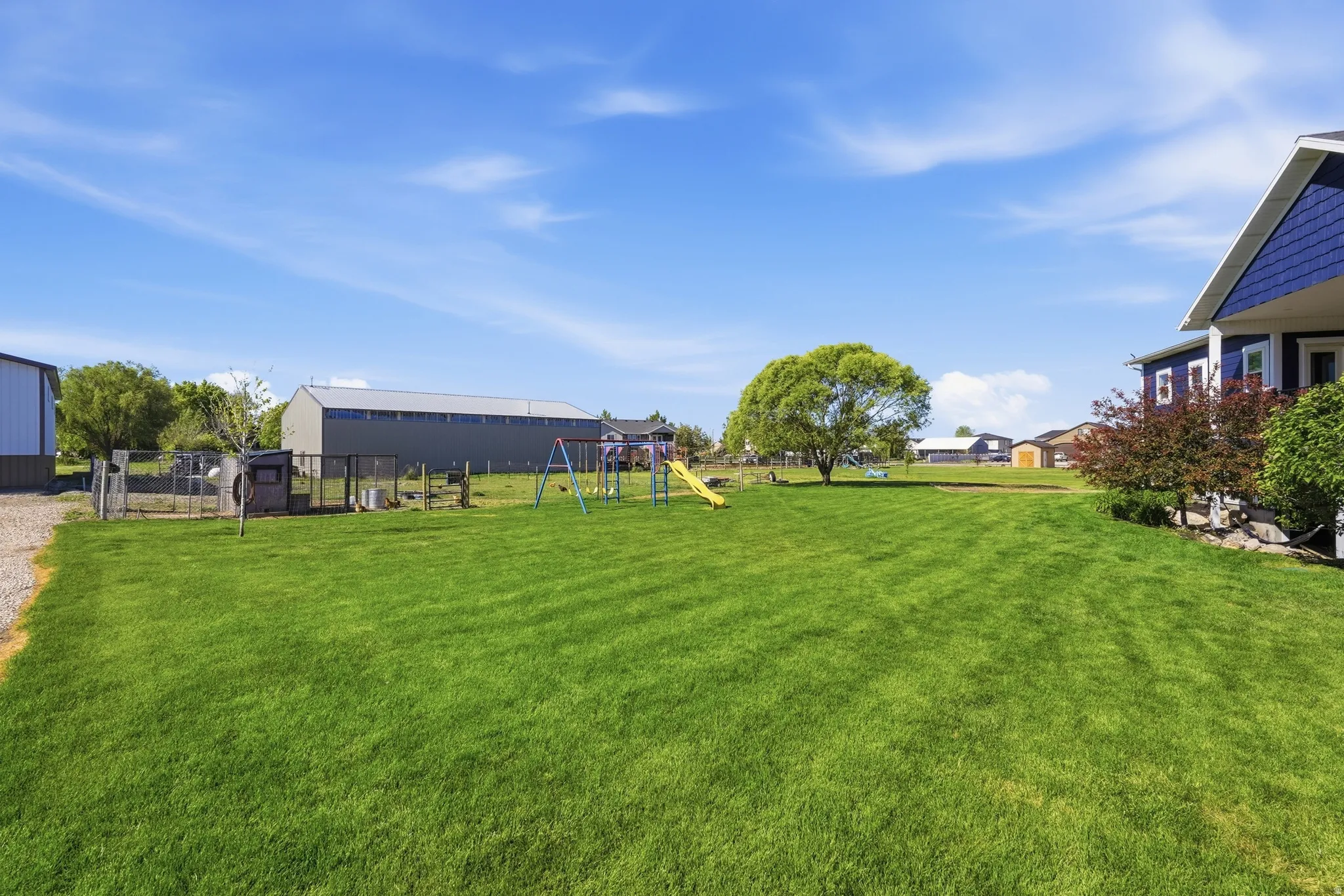 Expansive green lawn with mature trees and a gravel driveway
