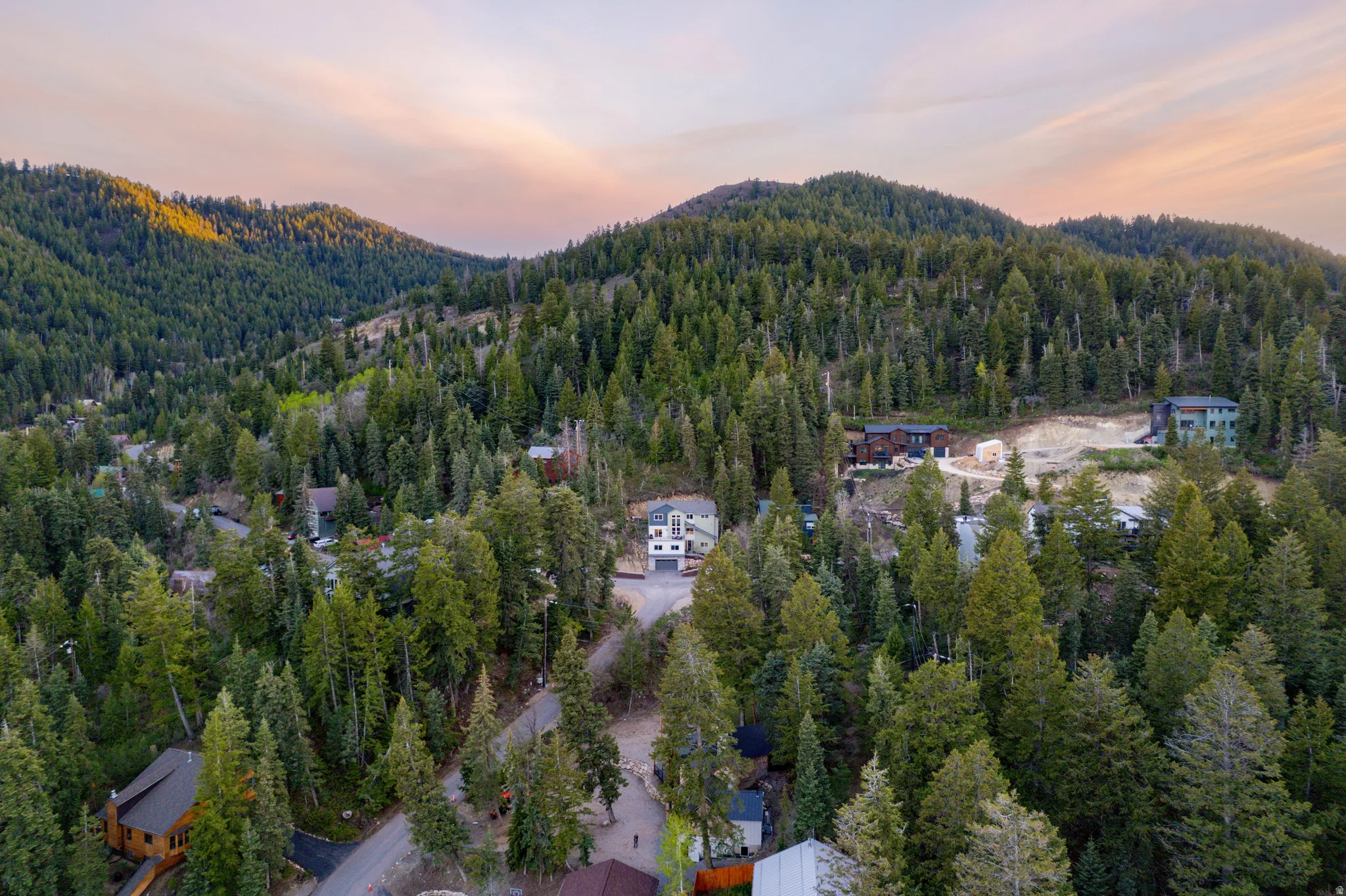 Aerial perspective showcasing residential properties nestled within a dense evergreen forest