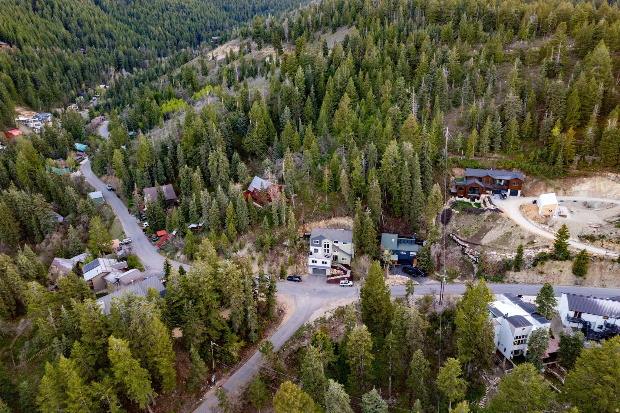 Expansive wooded terrain featuring multiple residences and winding roads
