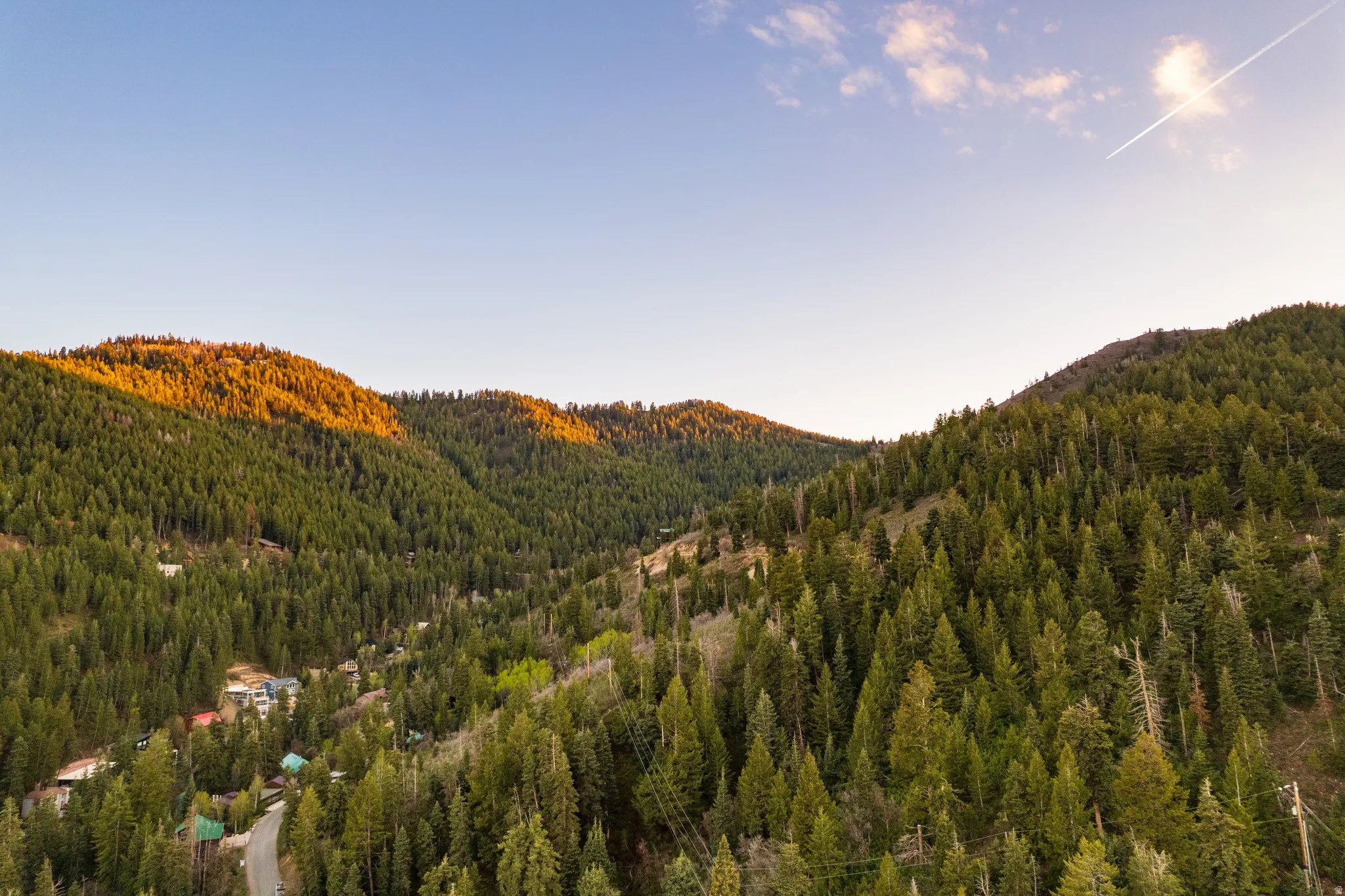 Mountainous terrain with dense evergreen forests