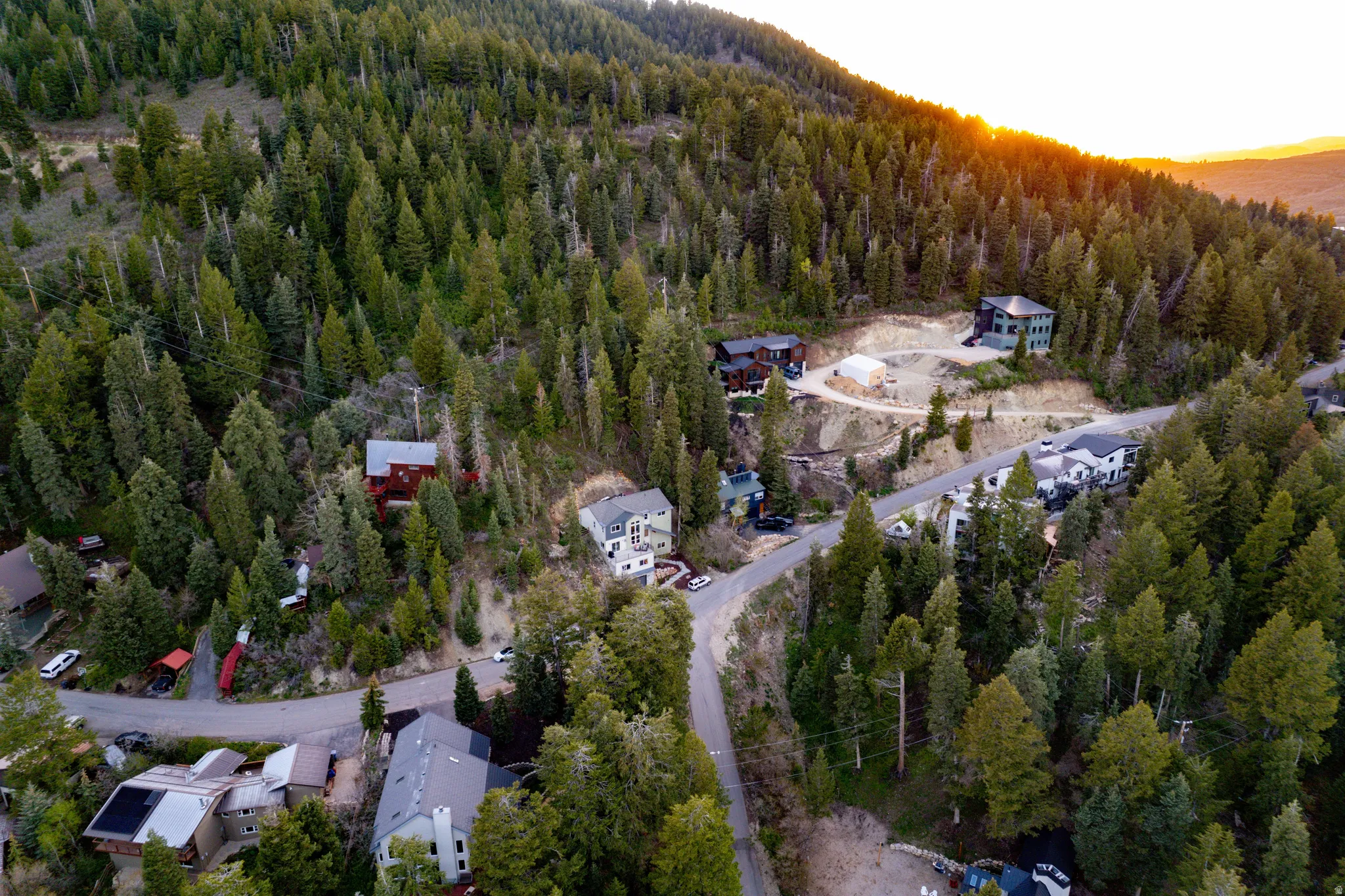 Mountainous terrain featuring dense evergreen tree coverage and a winding paved road