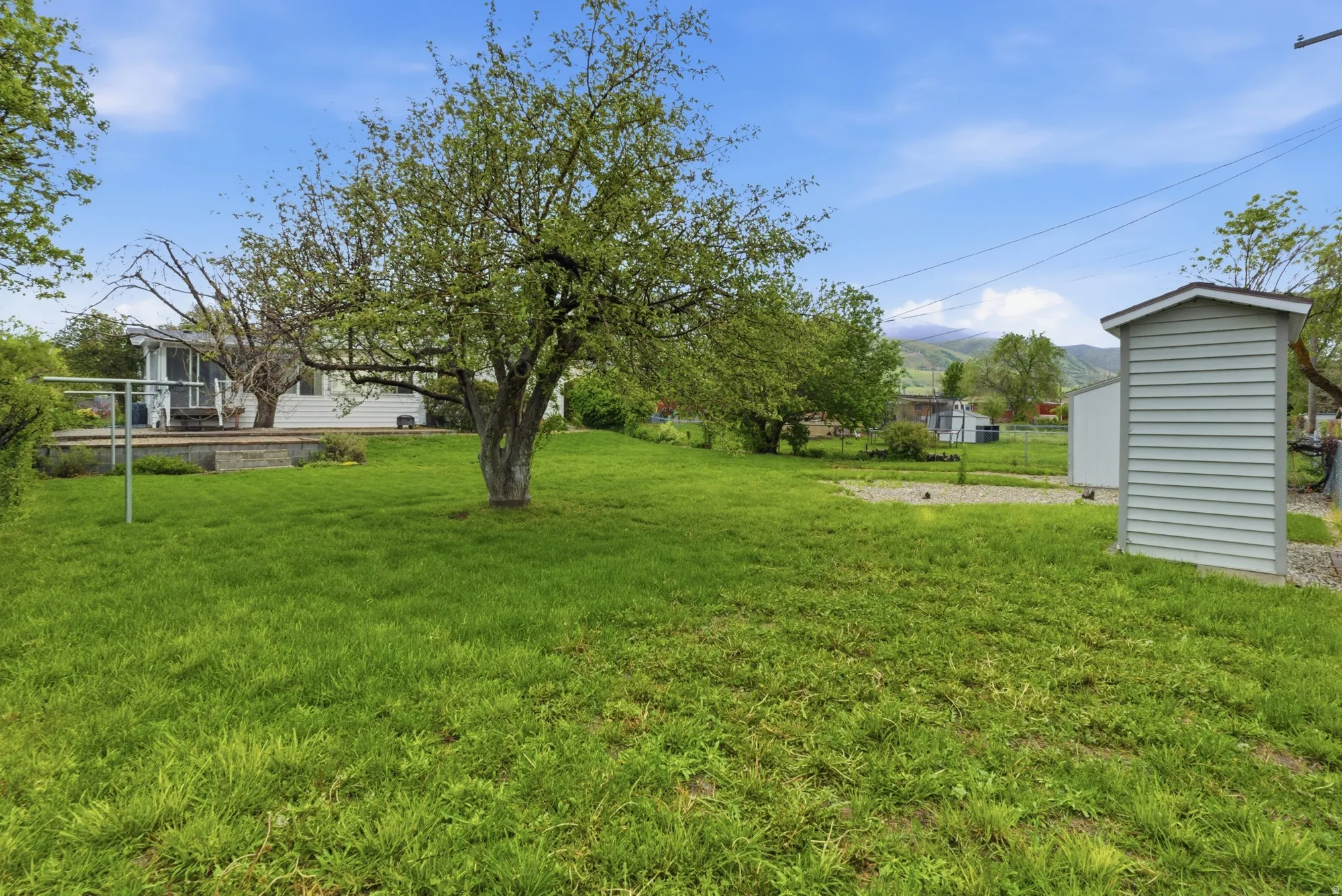 Expansive grassy yard featuring a mature tree, an outdoor clothesline, and a detached storage shed