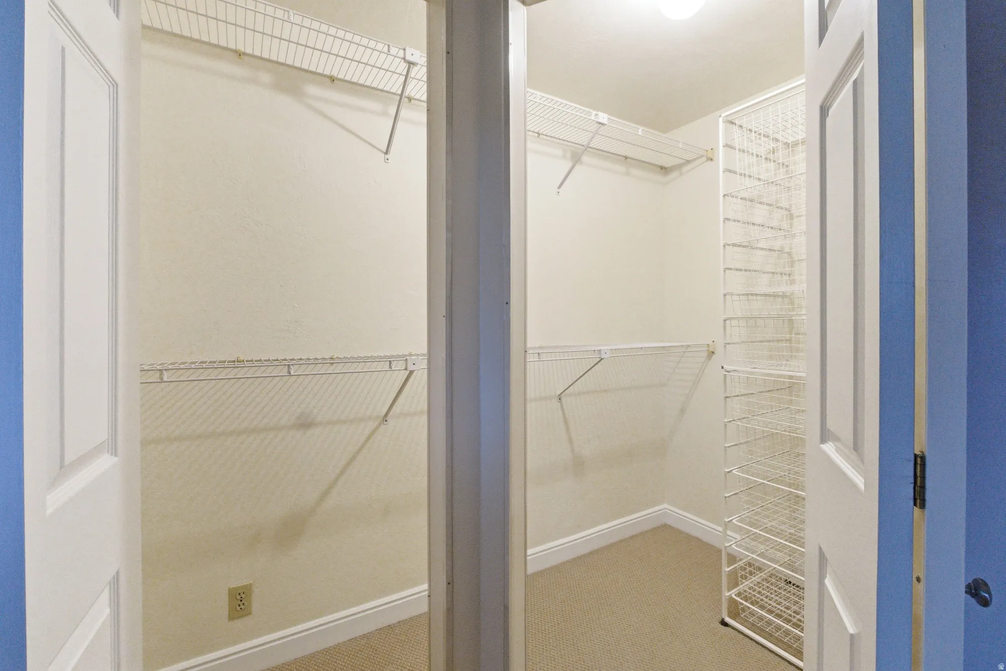Walk-in closet with carpet flooring, white wire shelving, a built-in wire storage rack, and a ceiling-mounted light fixture