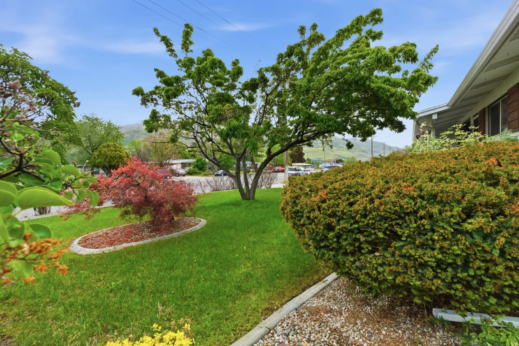 Manicured front yard featuring a verdant lawn, established trees, decorative shrubbery, and a concrete-edged planting bed with a vibrant red-leafed specimen