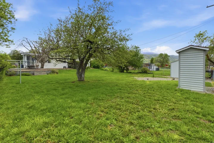 Expansive grassy yard featuring a mature tree, an outdoor clothesline, and a detached storage shed
