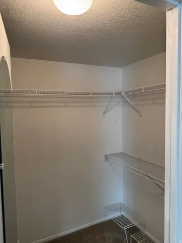 Walk-in closet featuring wire shelving, wire hanging rods, and a ceiling-mounted light fixture