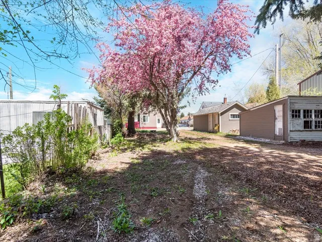 Established grounds featuring a mature flowering tree with vibrant pink blossoms