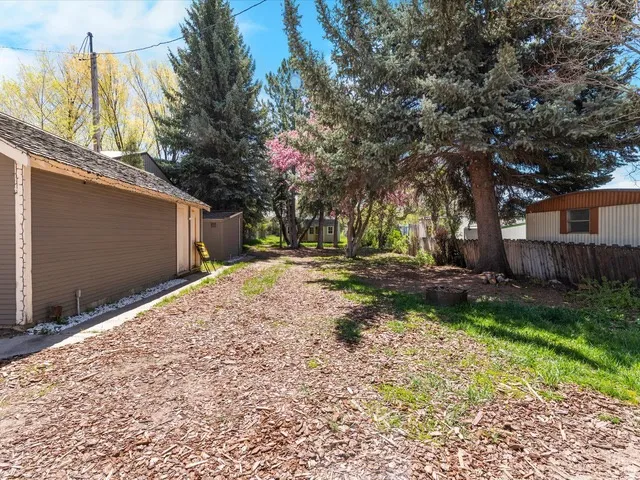 Spacious yard featuring mature trees and a detached structure with shingle roofing