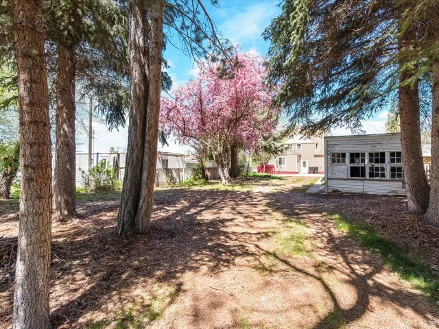 Expansive yard featuring multiple mature trees providing natural shade