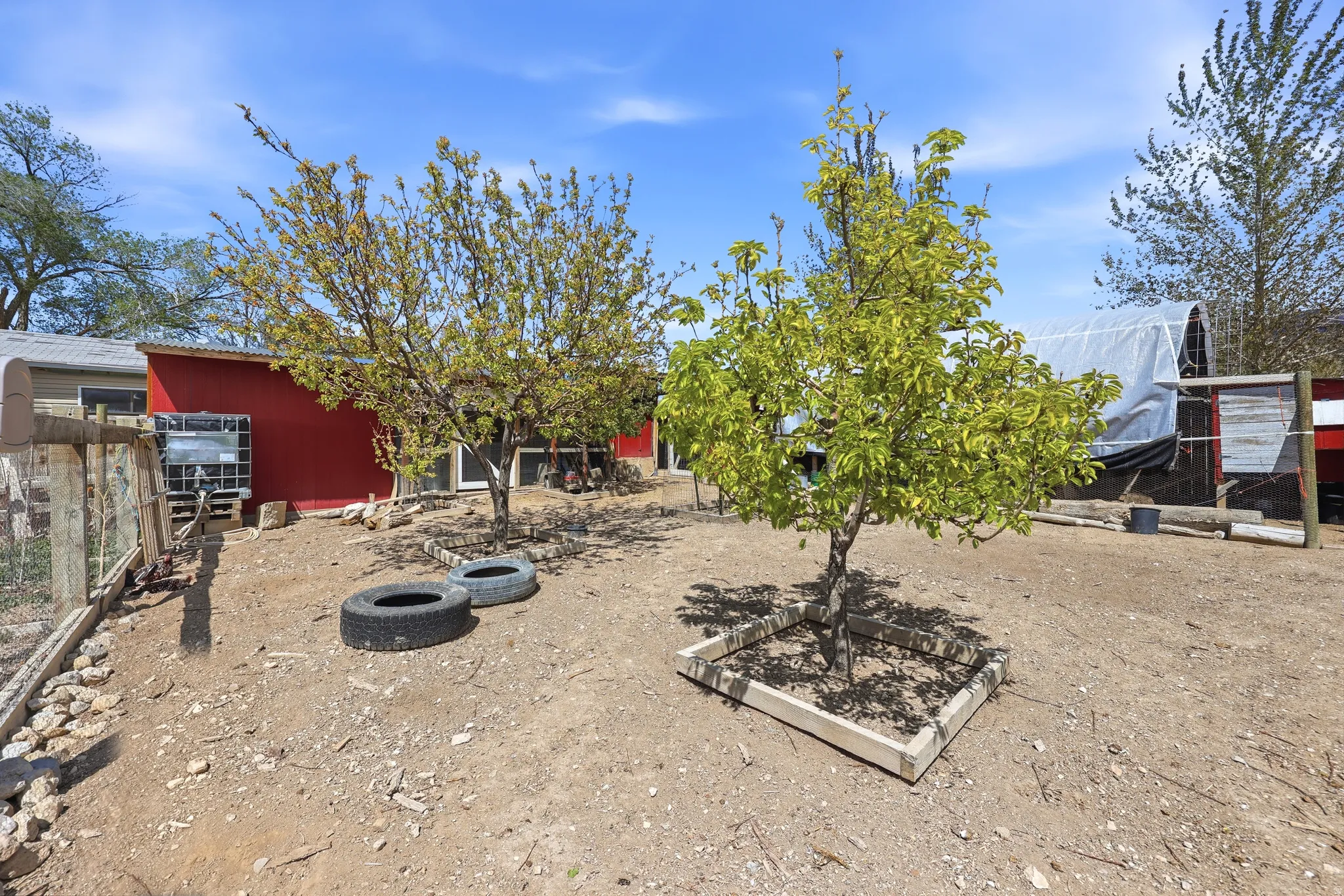 Expansive outdoor area featuring mature trees and a raised garden bed