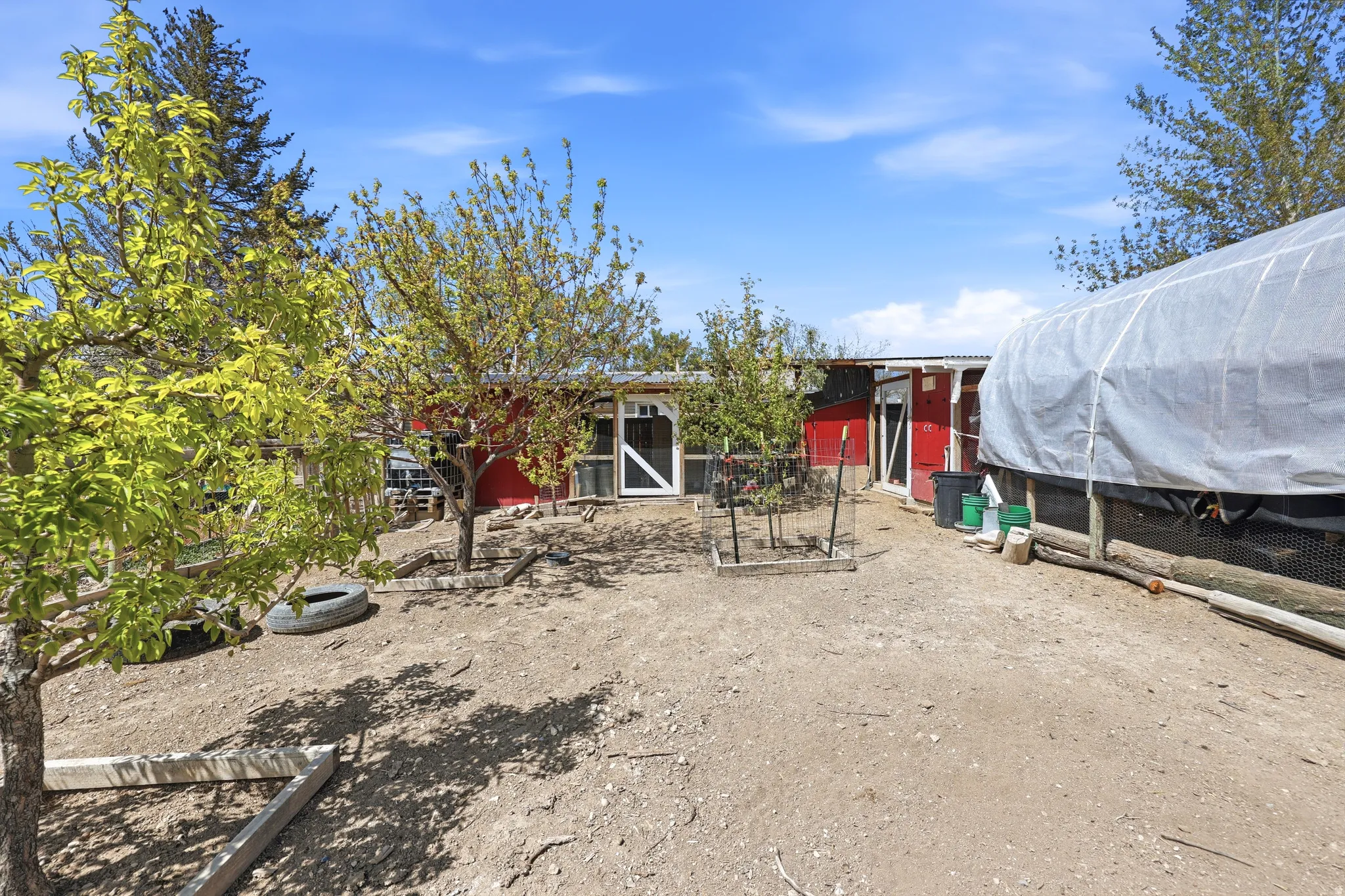 Expansive outdoor space featuring a covered agricultural structure, mature trees, and a red-painted outbuilding with multiple entry points