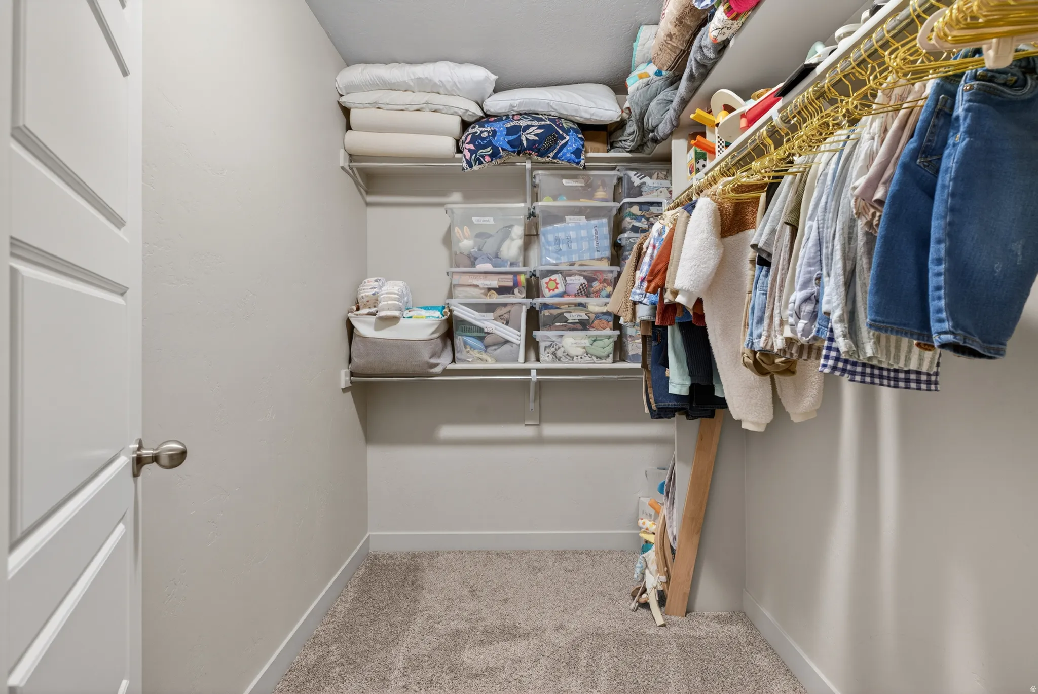Walk-in closet featuring carpet flooring, built-in shelving, and hanging rods