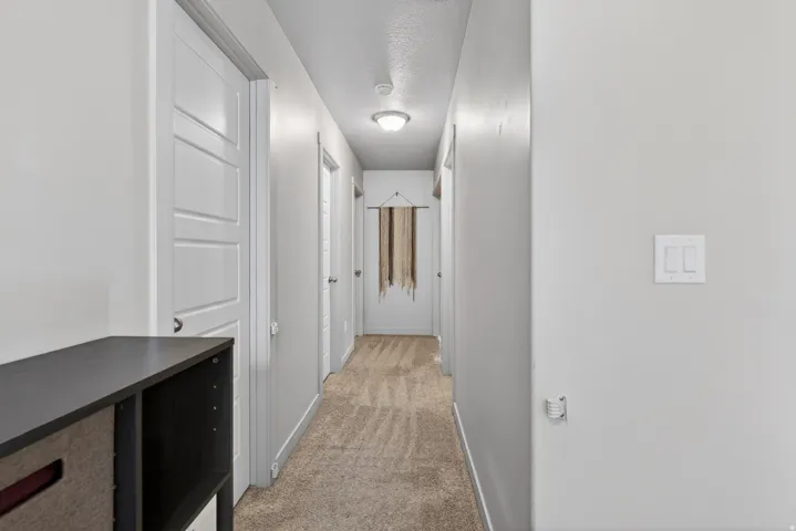 Carpeted hallway featuring white paneled doors, ceiling-mounted lighting, and light gray wall paint