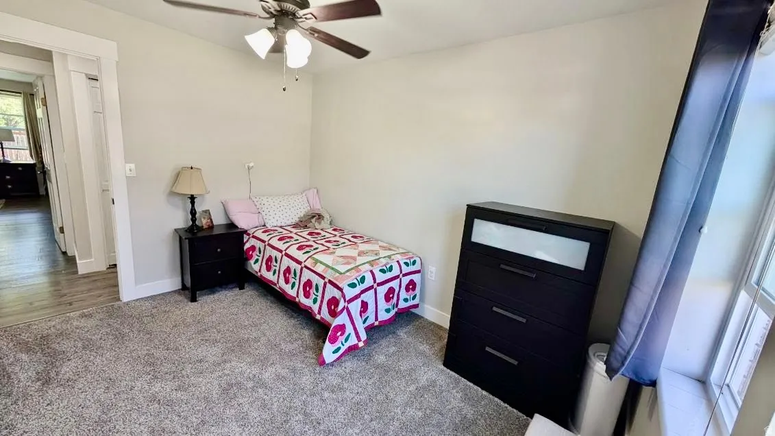 Carpeted room featuring a ceiling fan, light gray wall paint, and a window with a white frame