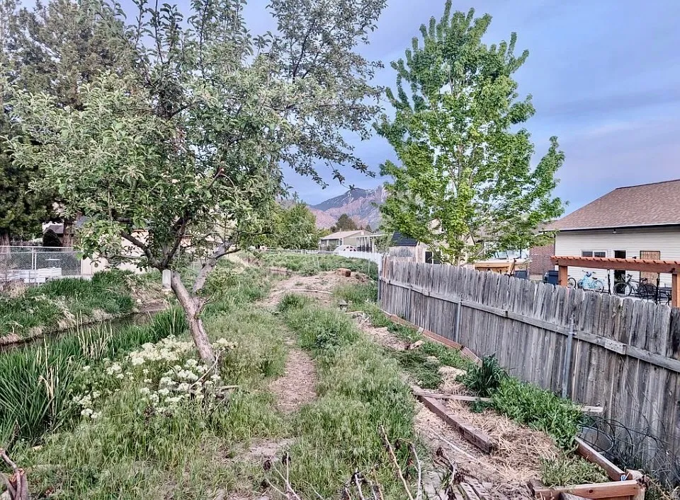 Private backyard space featuring a mature tree, natural waterway, and wood privacy fence