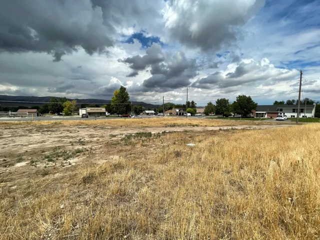 Expansive open lot featuring natural groundcover