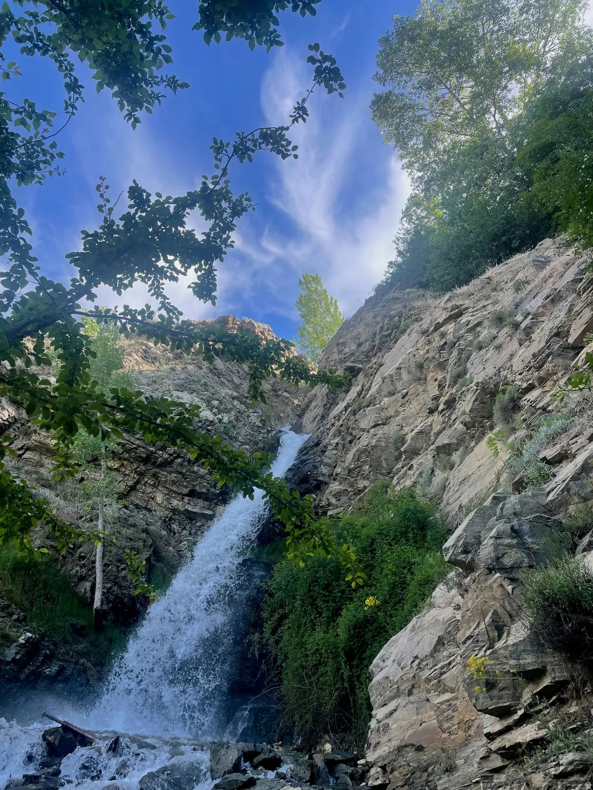Natural waterfall cascading into a rocky basin, surrounded by lush green foliage and towering rock formations under a bright blue sky
