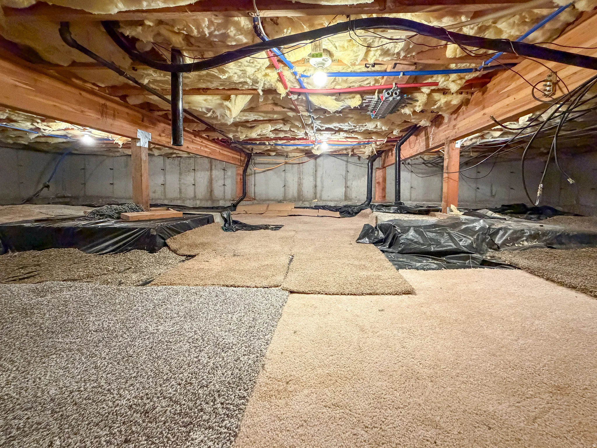 Crawl space with Lights