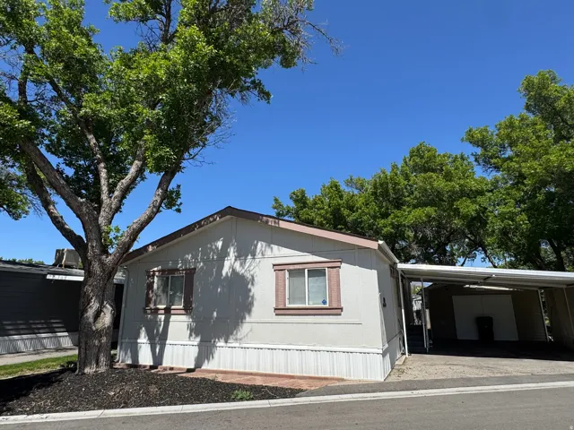 Light-colored exterior featuring contrasting trim, a covered carport, and mature trees providing natural shade