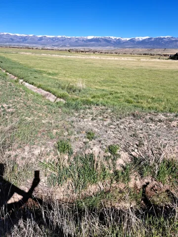 Expansive open land with a clear blue sky overhead