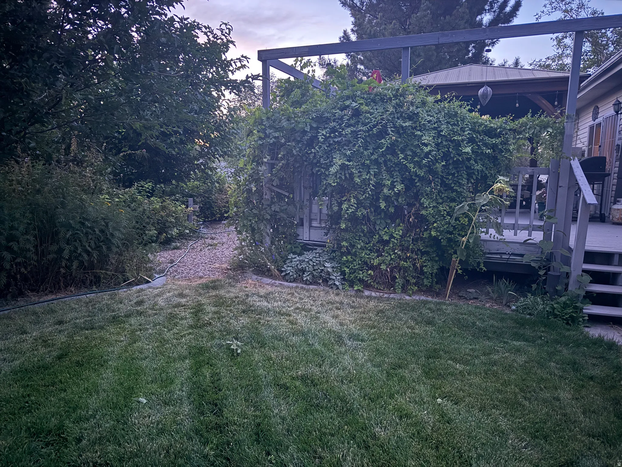 front yard