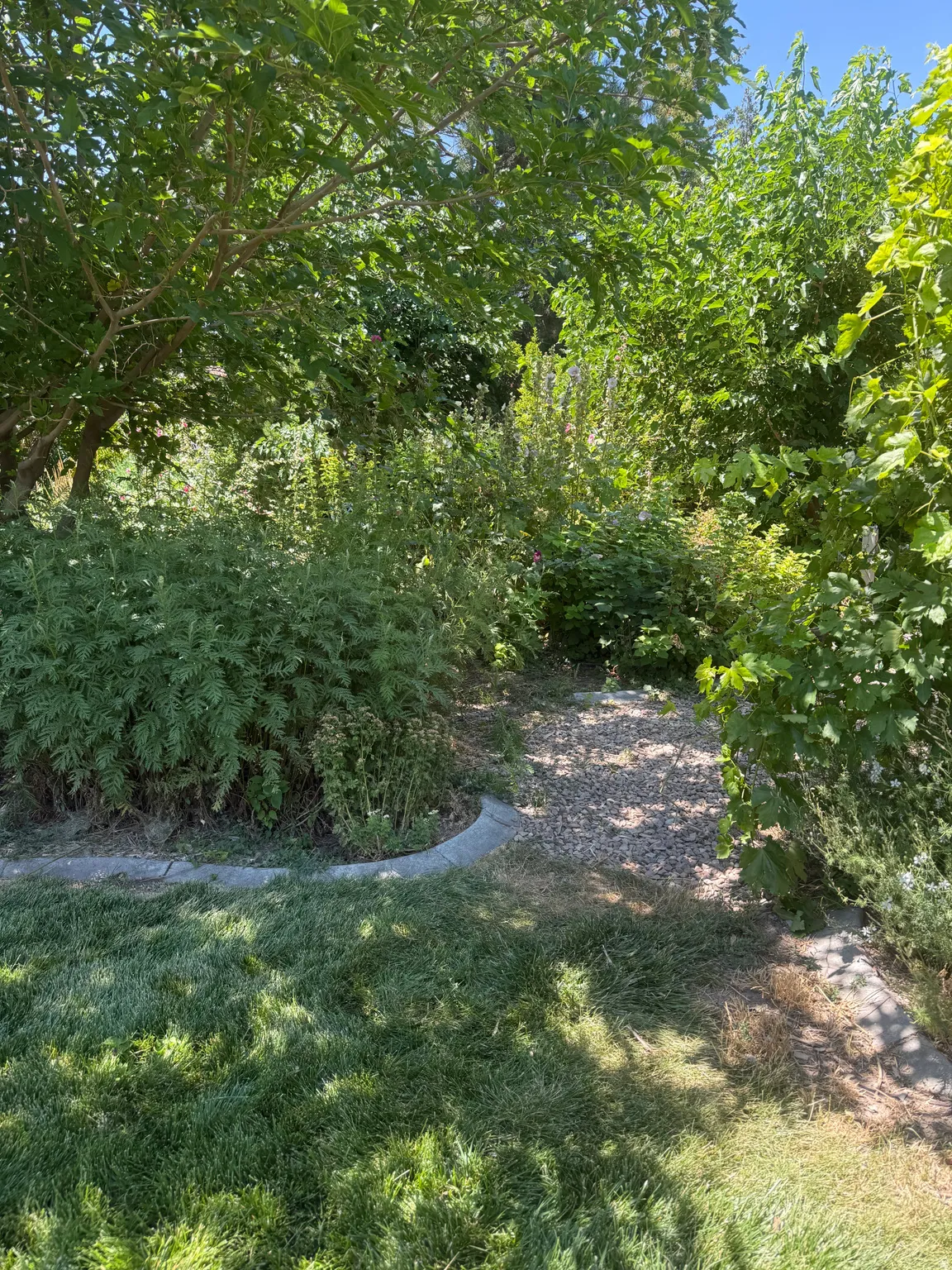 Lush landscaping featuring mature trees and diverse foliage