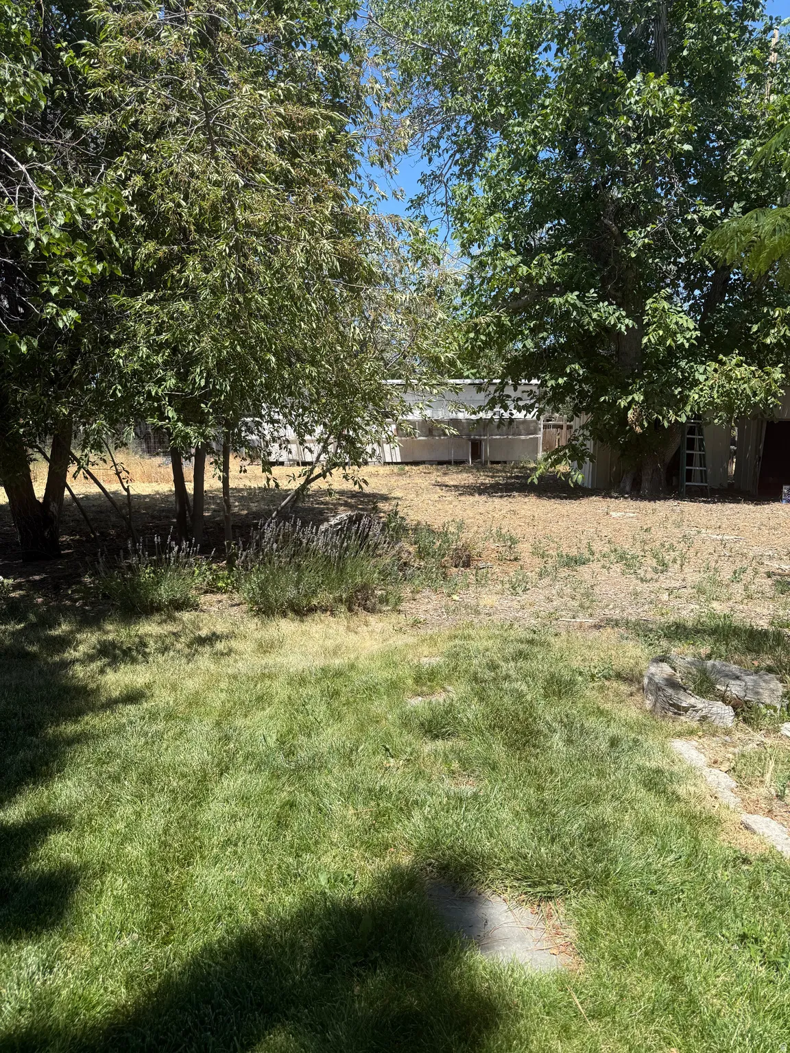 Shaded lot