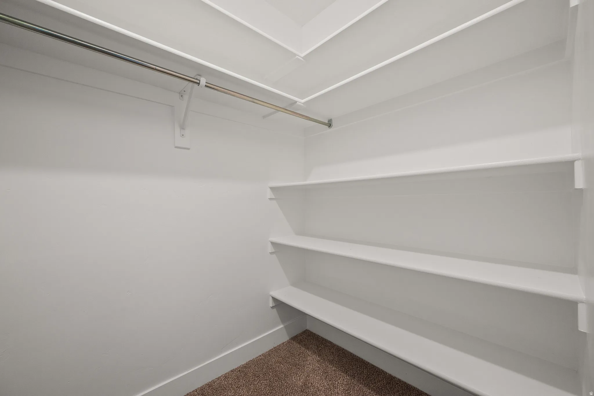 Walk-in closet featuring white walls, white trim, and brown carpet