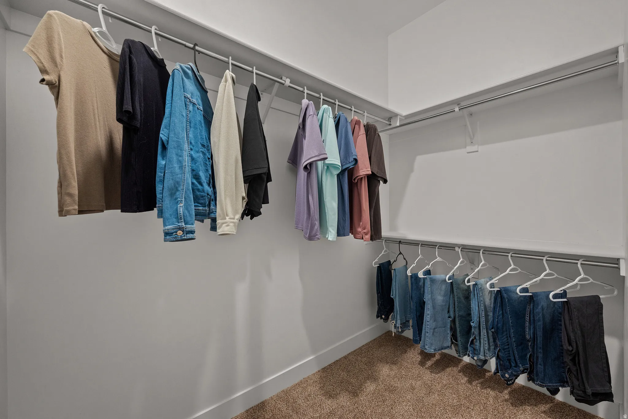 Walk-in closet featuring multiple clothing rods, upper shelving, and neutral carpeting