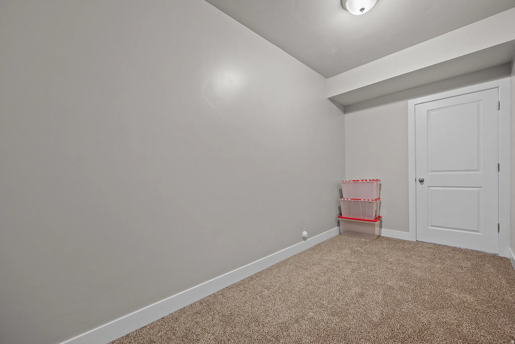Carpeted room featuring light gray walls, white baseboards, and a white two-panel door with a silver-tone knob