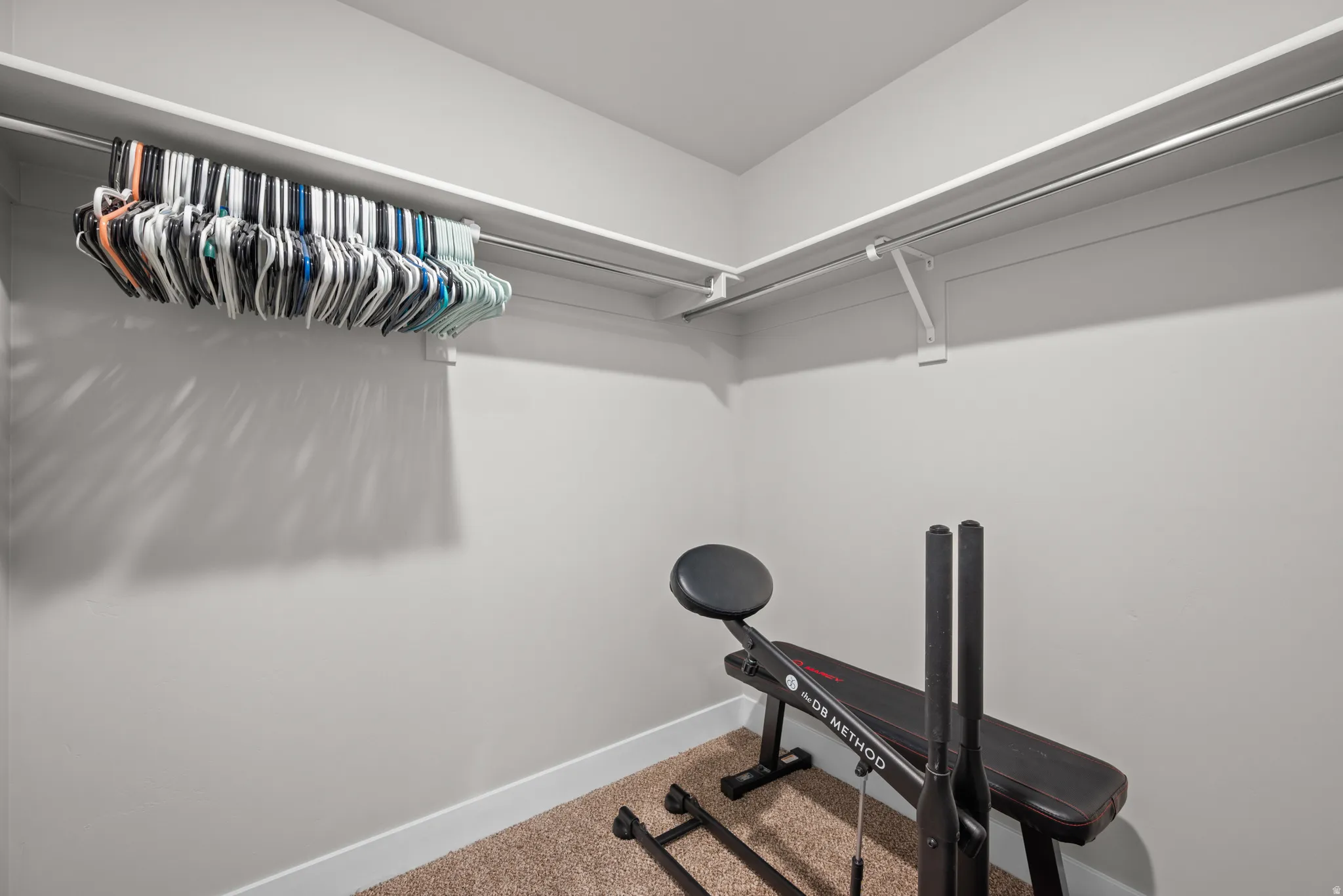 Carpeted closet space featuring a built-in hanging rod and overhead shelving