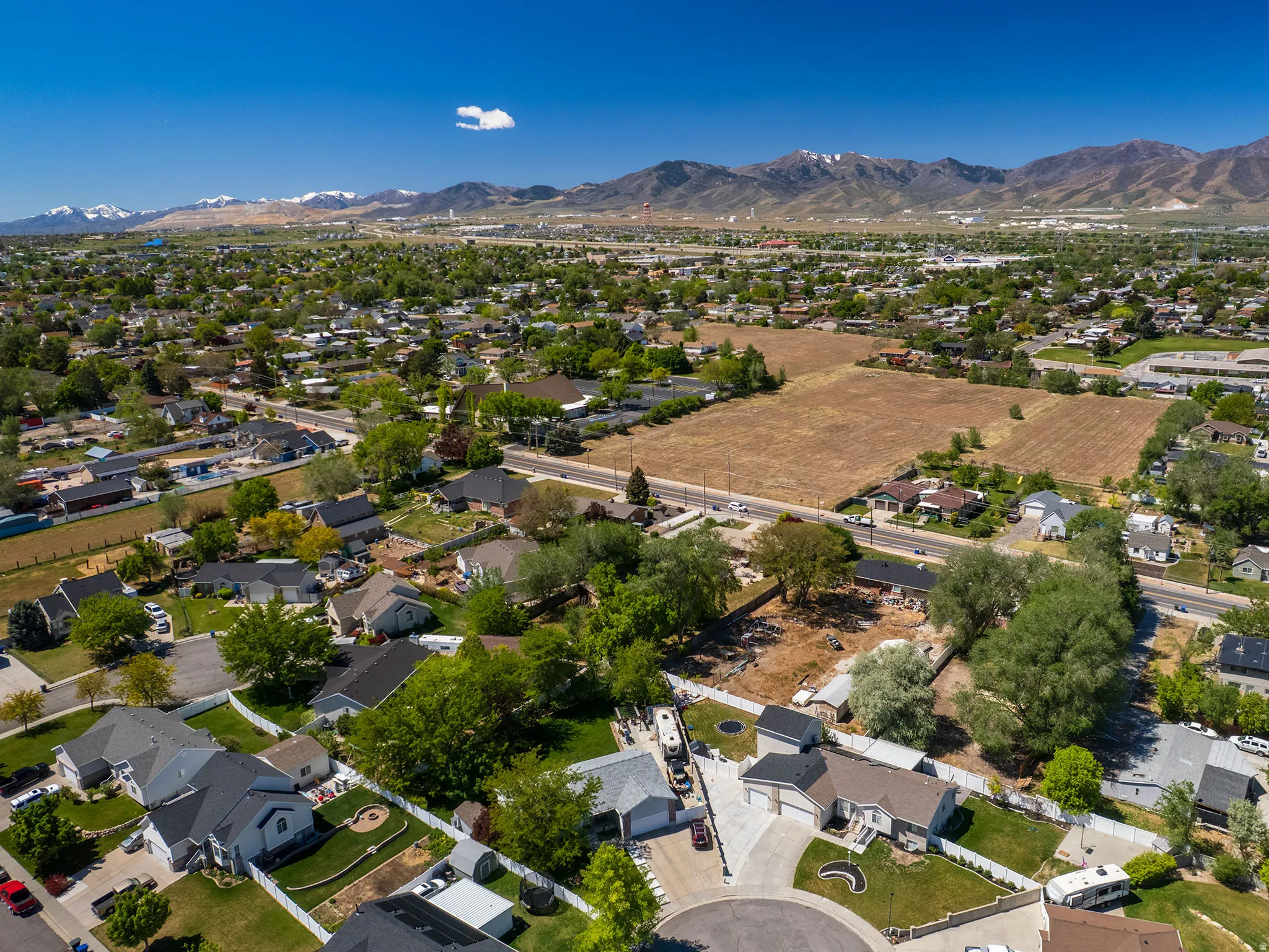 Expansive residential area with a diverse collection of single-family homes and mature trees