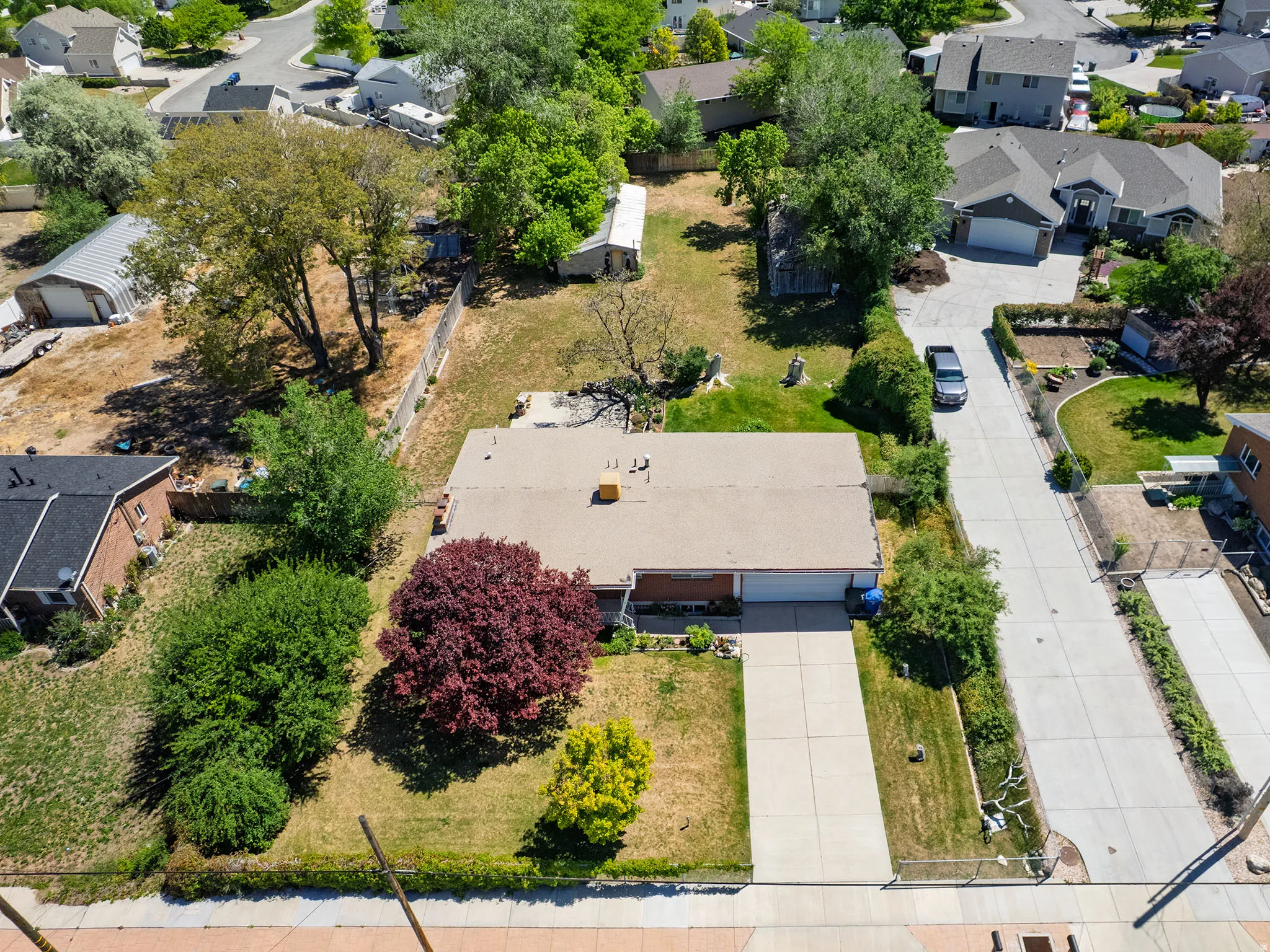 Brick ranch-style home featuring a tan roof, mature landscaping, and a concrete driveway