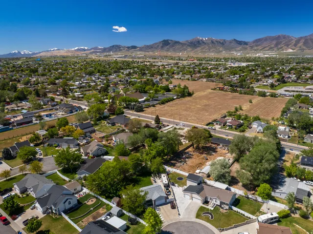Expansive residential area with a diverse collection of single-family homes and mature trees
