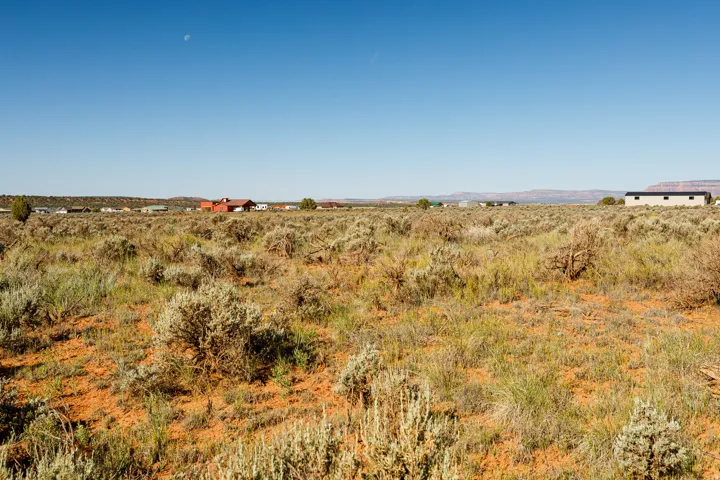 Expansive undeveloped terrain featuring desert flora and red-hued soil