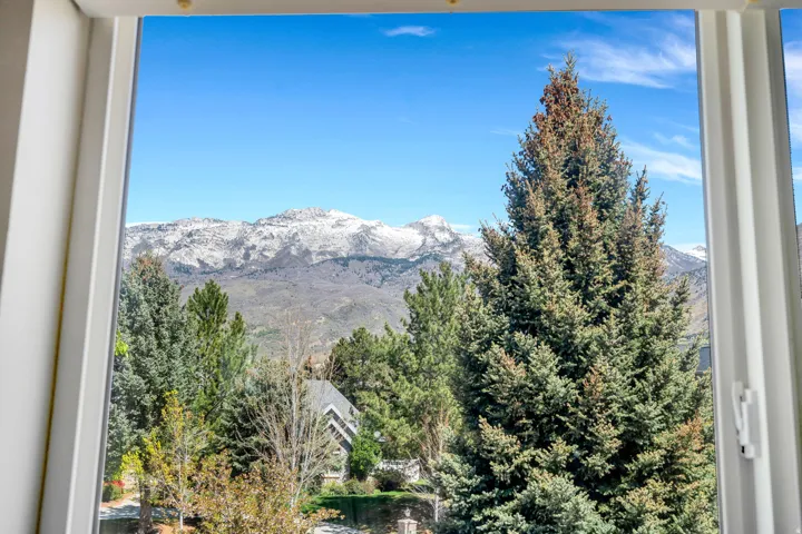 Framed mountain scenery featuring snow-capped peaks and evergreen trees