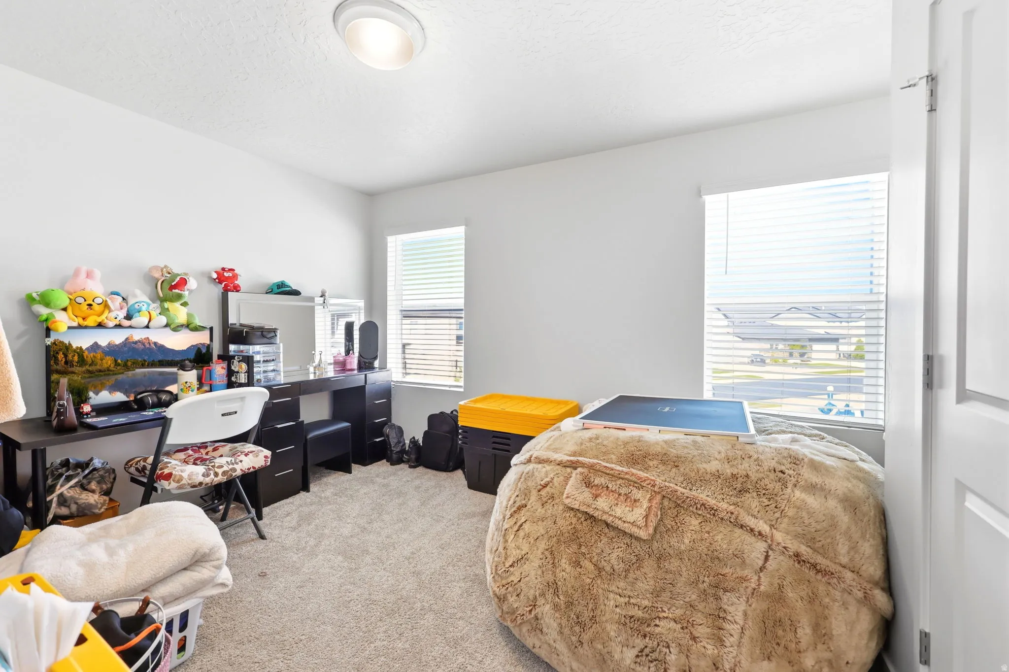 Carpeted room featuring multiple windows with blinds, a flush mount ceiling light, and white painted walls