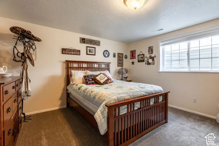 Neutral wall color with a large window and carpeted flooring