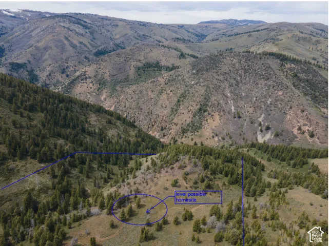Expansive mountainous terrain with varied topography and prominent tree coverage