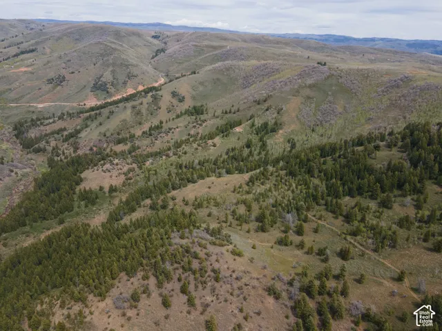 Expansive mountain terrain featuring varied elevations, natural foliage, and scattered evergreen trees