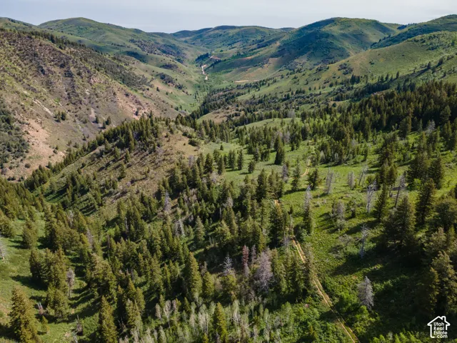 Sprawling mountainous terrain featuring dense evergreen forests, varied deciduous trees, and verdant slopes