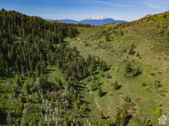 View of mountain background