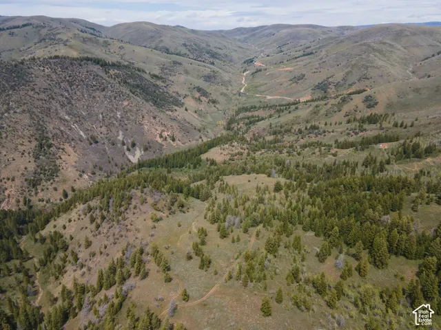 Expansive mountainous terrain featuring diverse natural landscaping, including evergreen tree clusters and varied ground cover