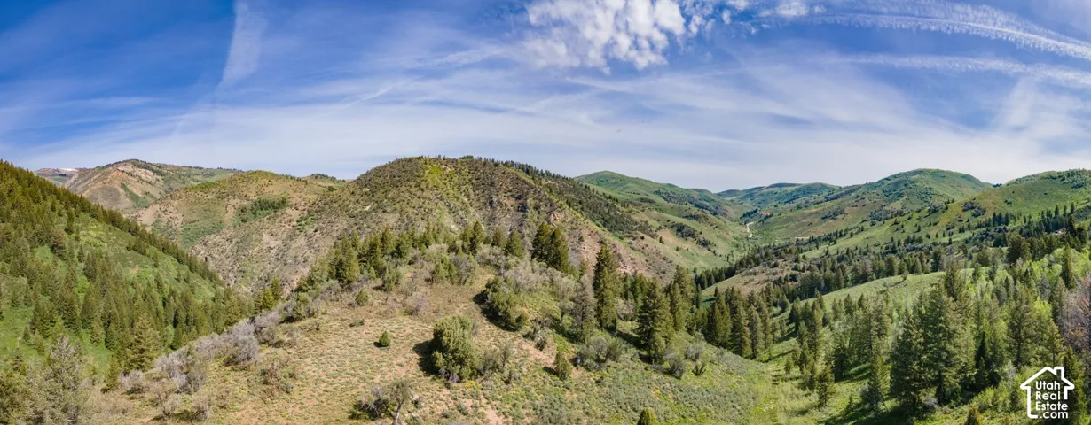 View of mountain background