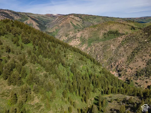 View of mountain background