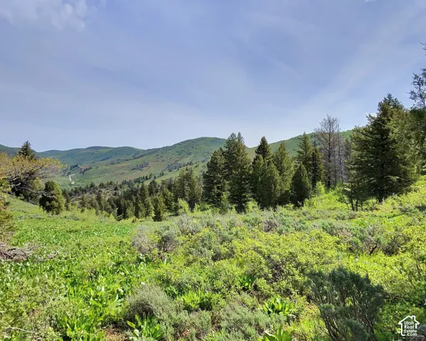 View of mountain background