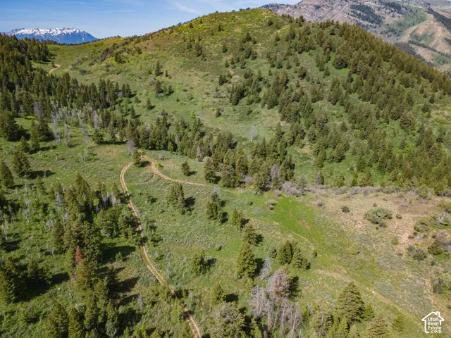 Expansive acreage featuring rolling hills, mature evergreen trees, and visible winding trails