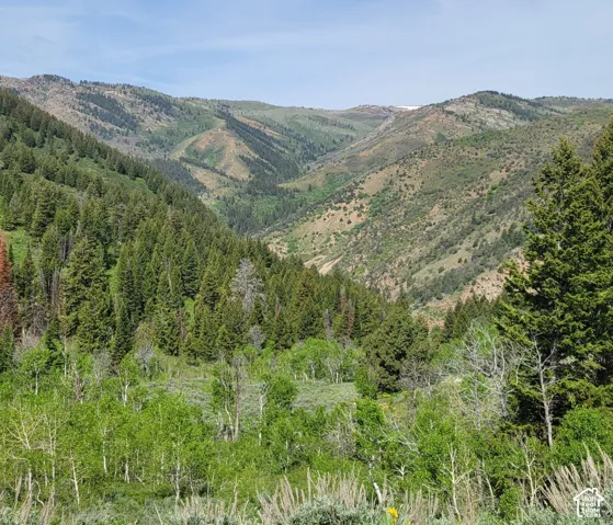 View of mountain backdrop