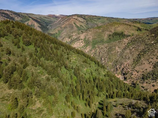 Expansive mountain landscape featuring varied terrain and abundant tree coverage