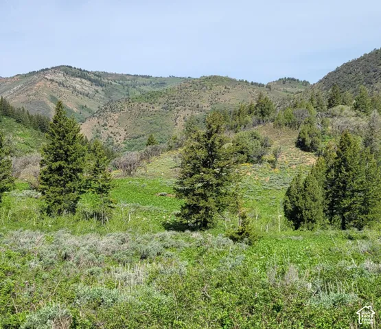 View of mountain backdrop